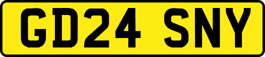 GD24SNY