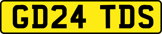 GD24TDS