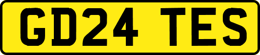 GD24TES