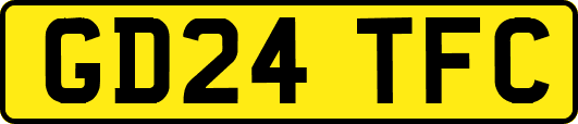 GD24TFC