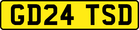 GD24TSD