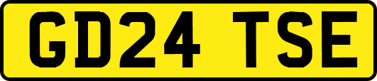 GD24TSE