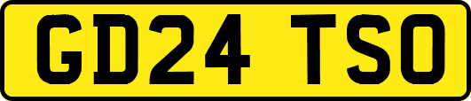 GD24TSO