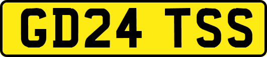 GD24TSS