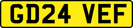 GD24VEF