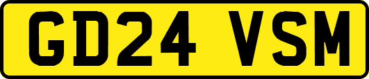 GD24VSM