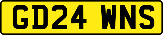 GD24WNS