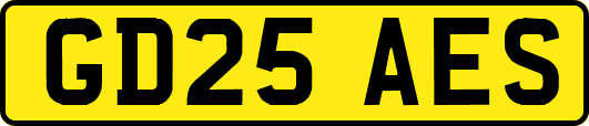 GD25AES