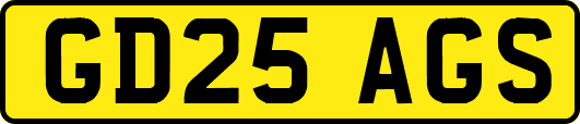 GD25AGS