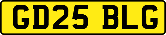GD25BLG