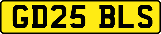GD25BLS