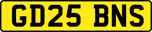 GD25BNS