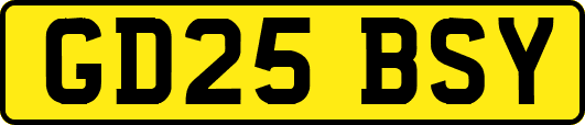 GD25BSY