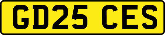GD25CES