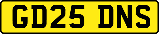 GD25DNS