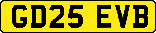 GD25EVB