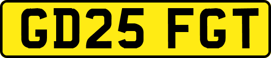 GD25FGT