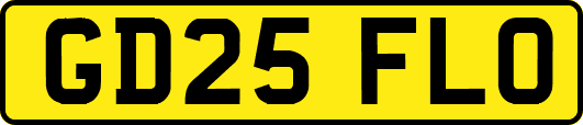 GD25FLO