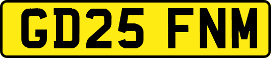 GD25FNM