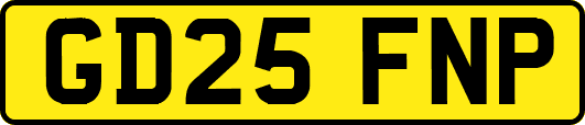GD25FNP
