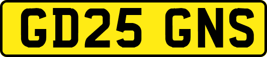 GD25GNS