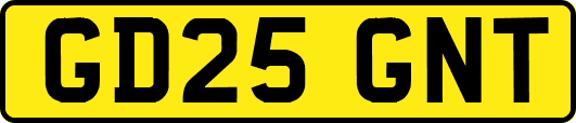 GD25GNT