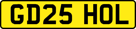 GD25HOL