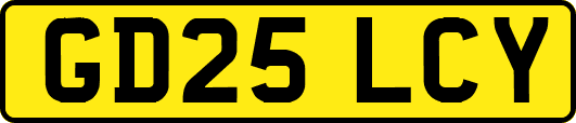 GD25LCY