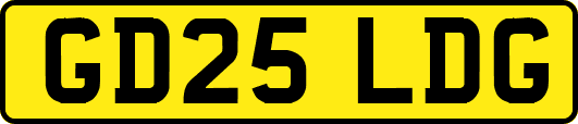 GD25LDG
