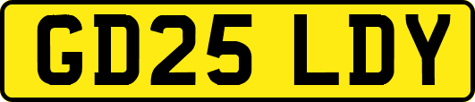 GD25LDY