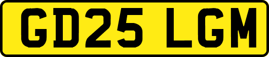 GD25LGM