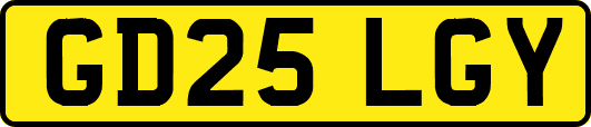 GD25LGY