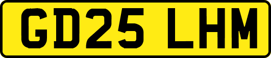 GD25LHM