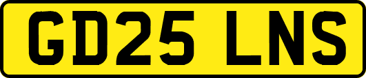 GD25LNS