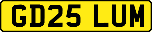 GD25LUM