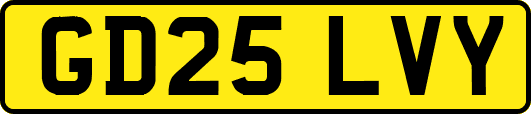 GD25LVY