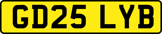 GD25LYB