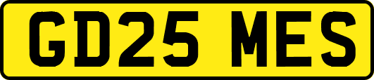 GD25MES