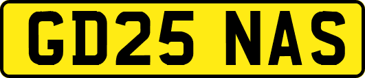 GD25NAS