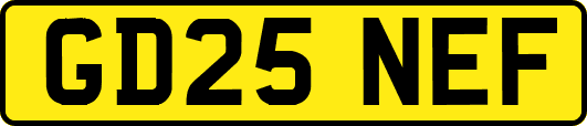 GD25NEF