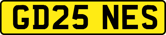 GD25NES