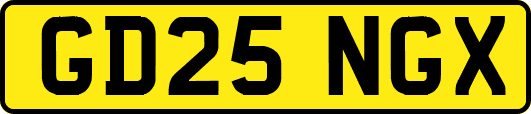 GD25NGX