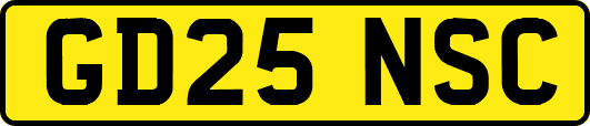 GD25NSC