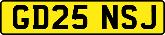 GD25NSJ