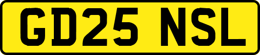 GD25NSL