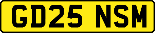 GD25NSM