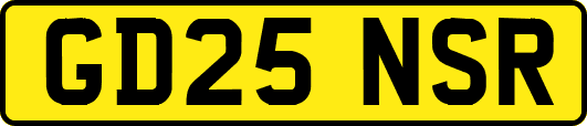GD25NSR