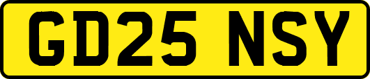 GD25NSY