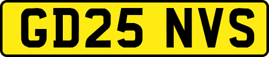 GD25NVS