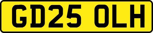 GD25OLH